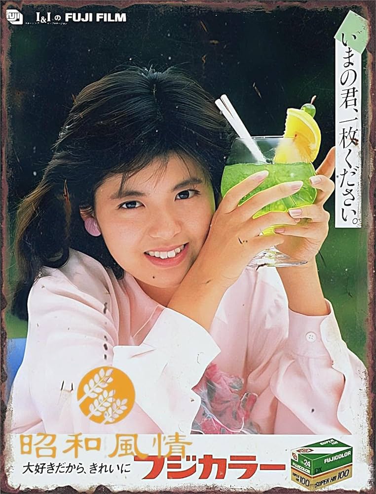 Amazon.co.jp: 【昭和の風情】南野陽子 昭和レトロ 懐かし ブリキ看板