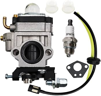 Amazon.com: LIZAPUS 430025 Carburetor Carb Compatible with