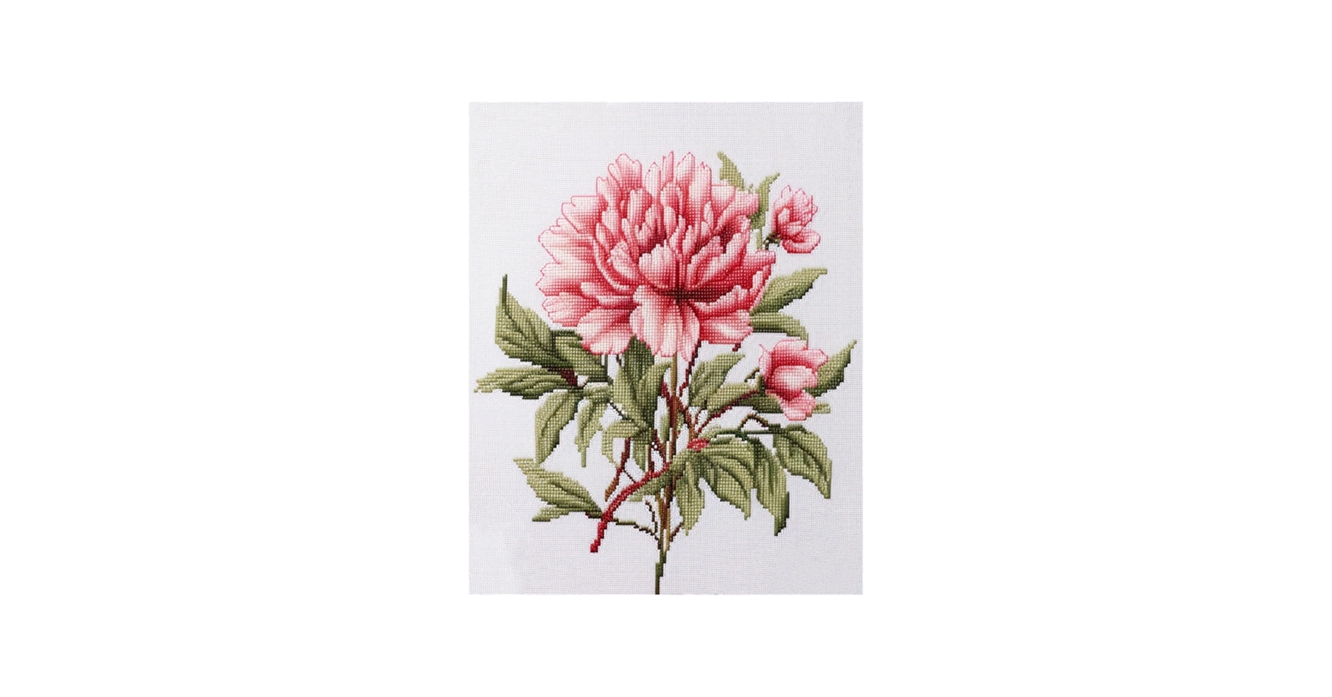 Amazon | 14CT クロスステッチ 図案印刷ピンクの牡丹の花プレプリント