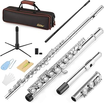 Amazon.com: Eastar Closed Hole 16 Keys Flute for Beginner Kids
