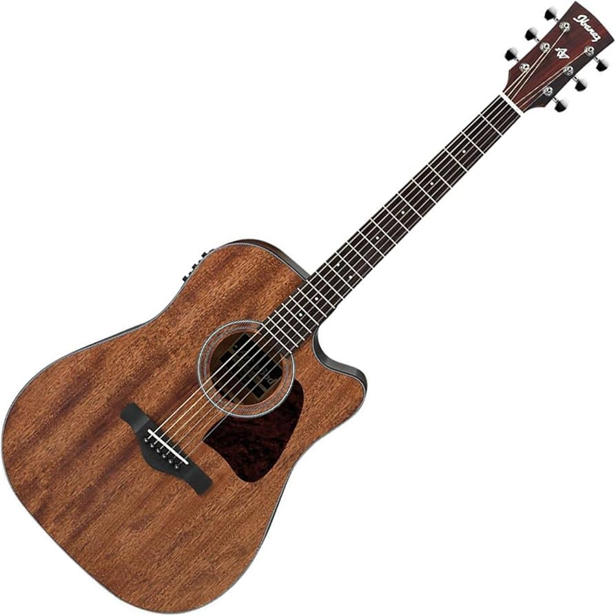 Amazon | Ibanez アイバニーズ AW54CEOPN Artwood Solid Top