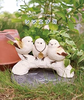 71FfFN9RTTL._AC_UF350,