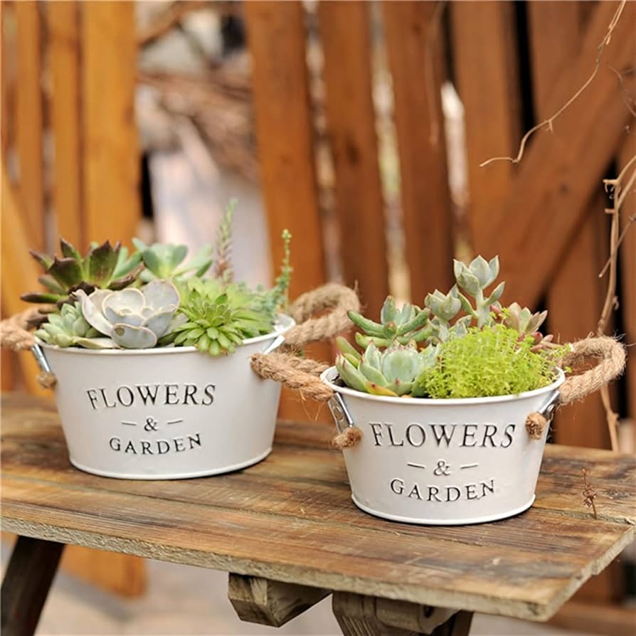 Amazon.co.jp: [ADSNS] プランター 底穴あり ブリキ鉢 S2 ワイド 幅16