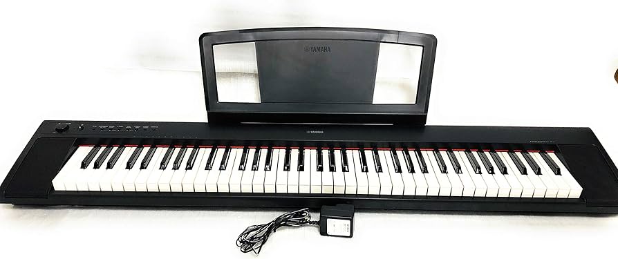 Amazon.co.jp: YAMAHA 電子キーボード piaggero(ピアジェーロ