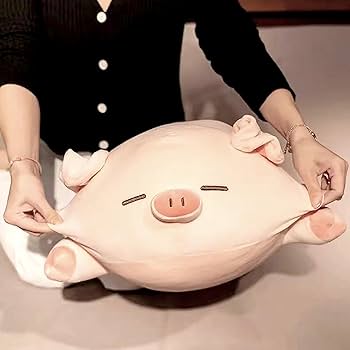 Amazon.co.jp: 40㎝/50㎝/60㎝/80㎝/100㎝大きいサイズ巨大特大サイズ