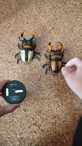 Amazon | 【まるで本物!リアルに動く!】 昆虫 ラジコン クワガタ 2種