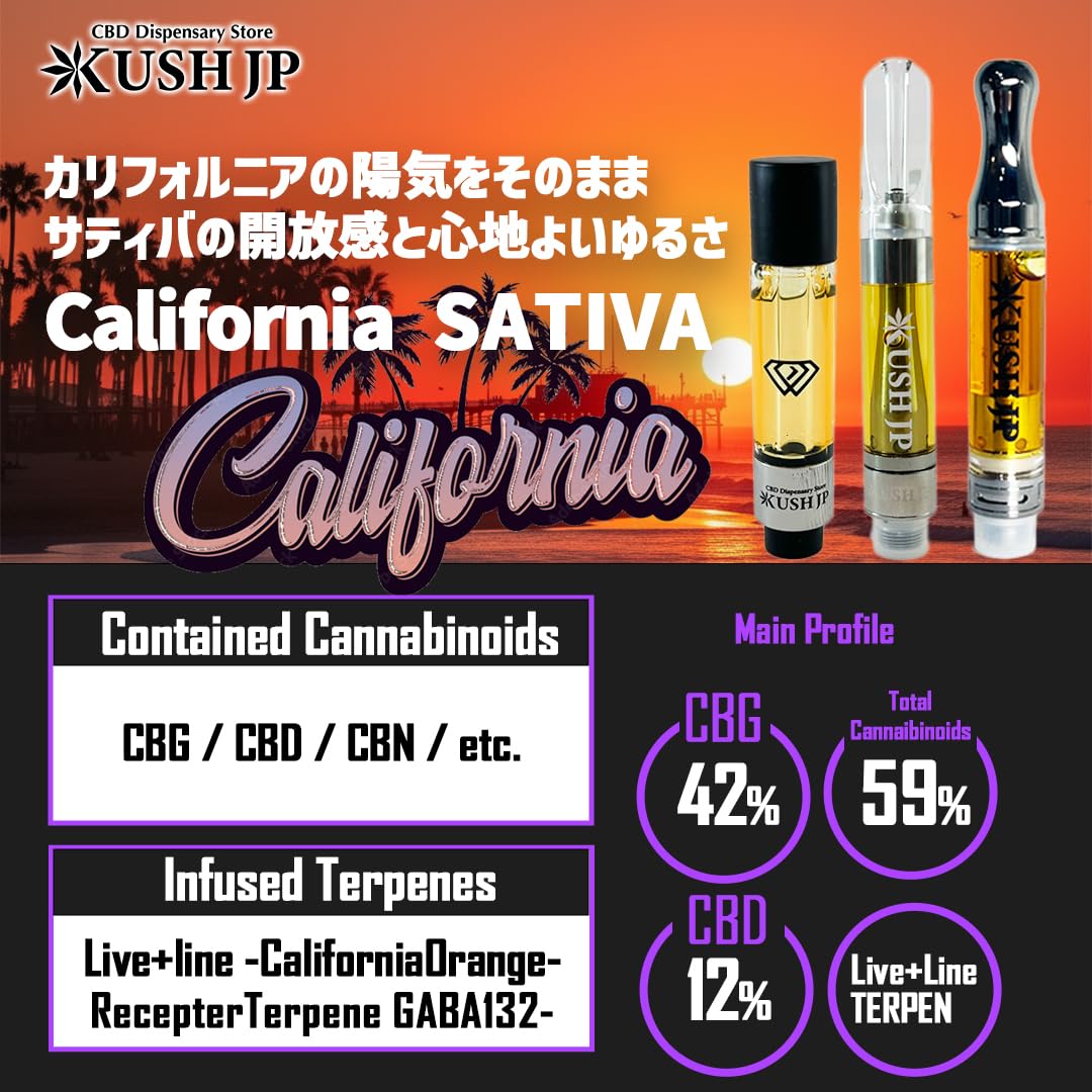 TRUE テルペン 510 CBD CBN CBG 5ml クリティカルクッシュ Amazon