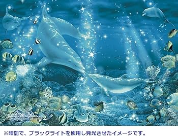 71XKWtc6sBL._AC_UF350,