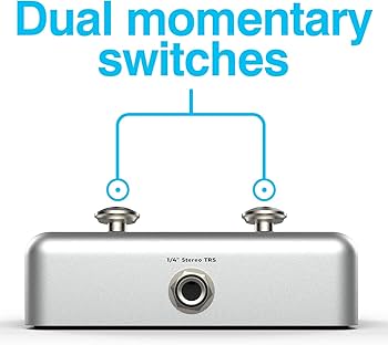 Amazon.com: Singular Sound Dual Momentary Footswitch Plus for use