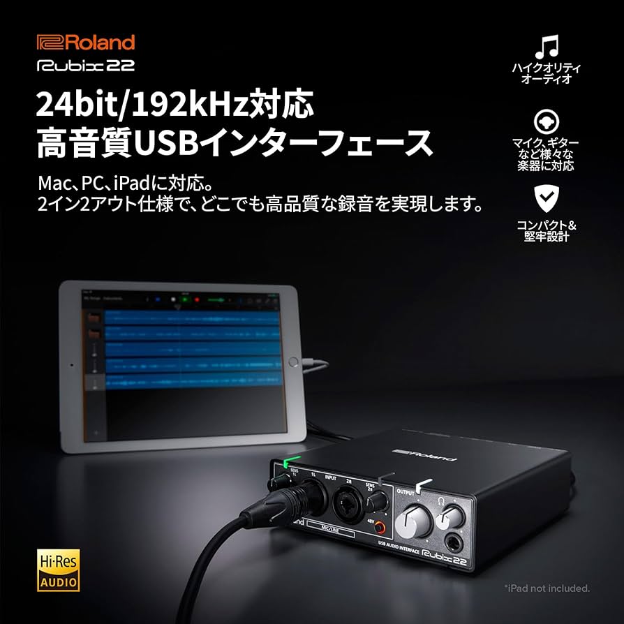 Amazon.co.jp: ローランド ROLAND Rubix22 USB AUDIO INTERFACE