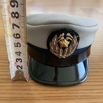 Amazon.co.jp: ミニチュア 警察制帽 2個セット : おもちゃ