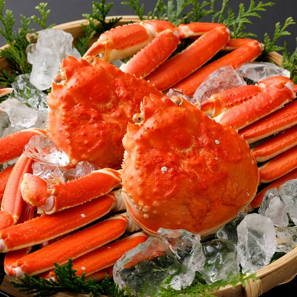 Amazon.co.jp: 松乃江 ボイルズワイガニ 2尾 冷凍 蟹 カニ 姿 ギフト