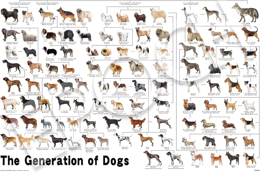 Amazon | エポック社（EPOCH） 1000ピース ジグソーパズル いきもの
