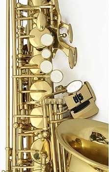 Amazon | SELVA/初心者向けアルトサックス入門セット Alto Sax SAS-100