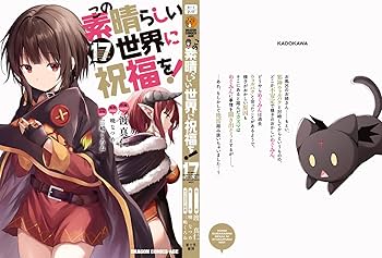 Amazon.co.jp: この素晴らしい世界に祝福を! 17 (ドラゴンコミックス