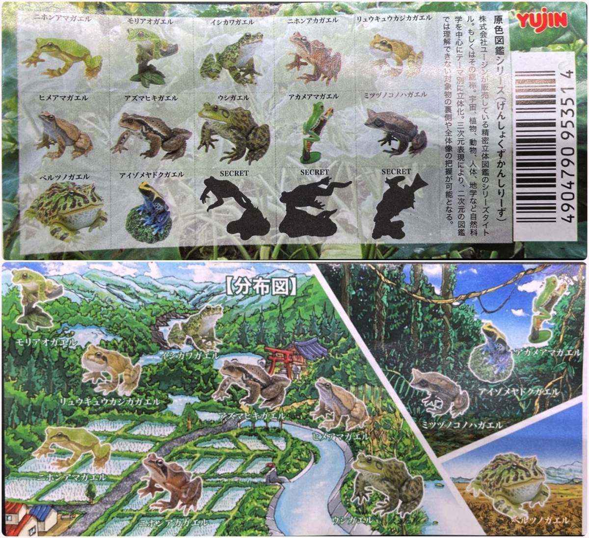 Amazon.co.jp: 〓ユージン〓原色両生類 カエル図鑑（新改訂版） ミツ