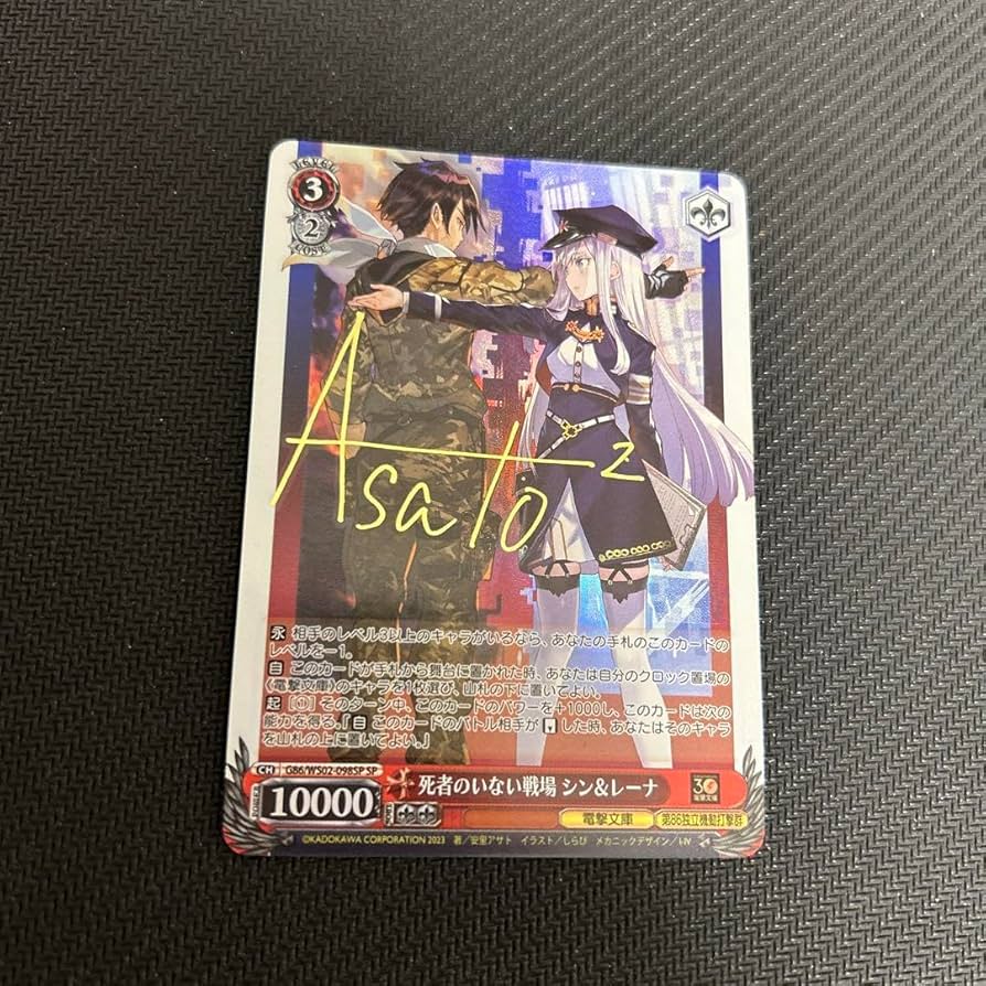 Amazon.co.jp: ヴァイス 死者のいない戦場 シン&レーナ sp サイン