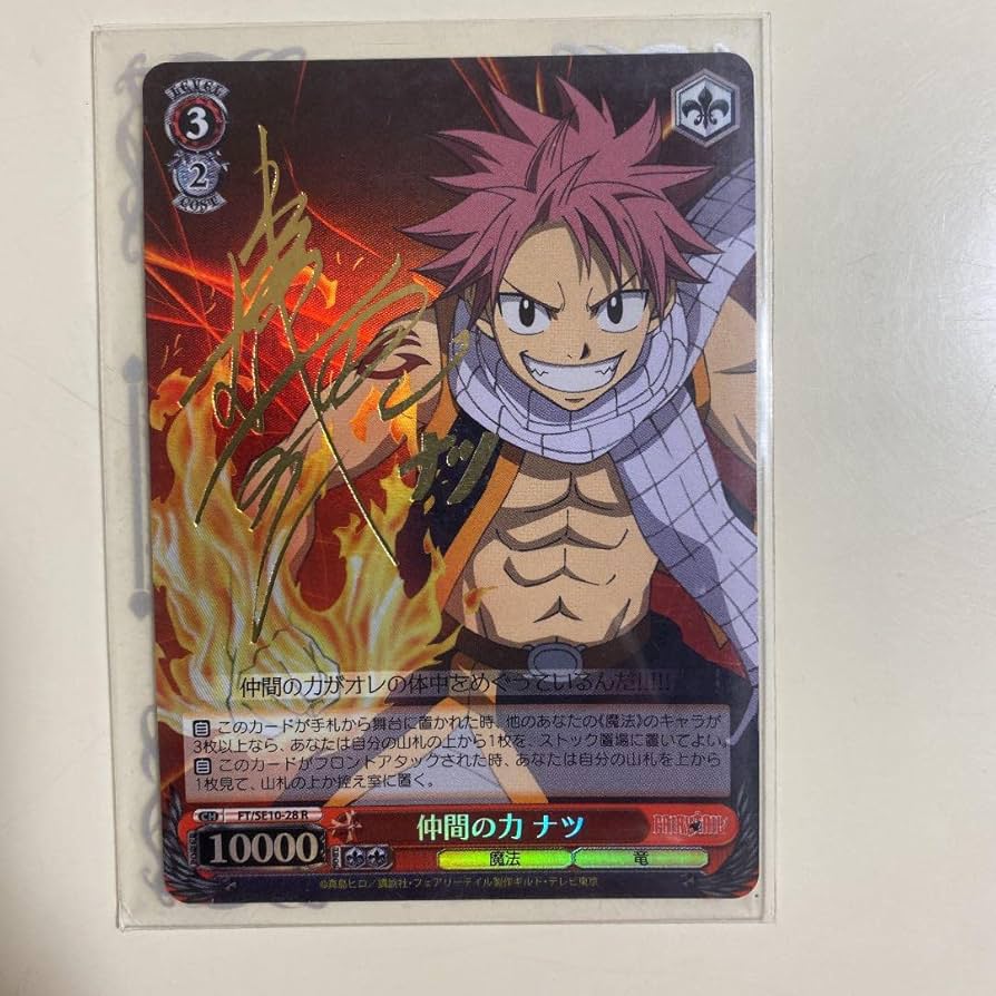 仲間の力 ナツ psa9 仲間の力 ナツ psa9 仲間の力 ナツ psa9 ヴァイス
