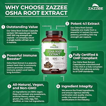 Amazon.com: Zazzee OSHA Root 4:1 Extract, 500 mg Strength, 120