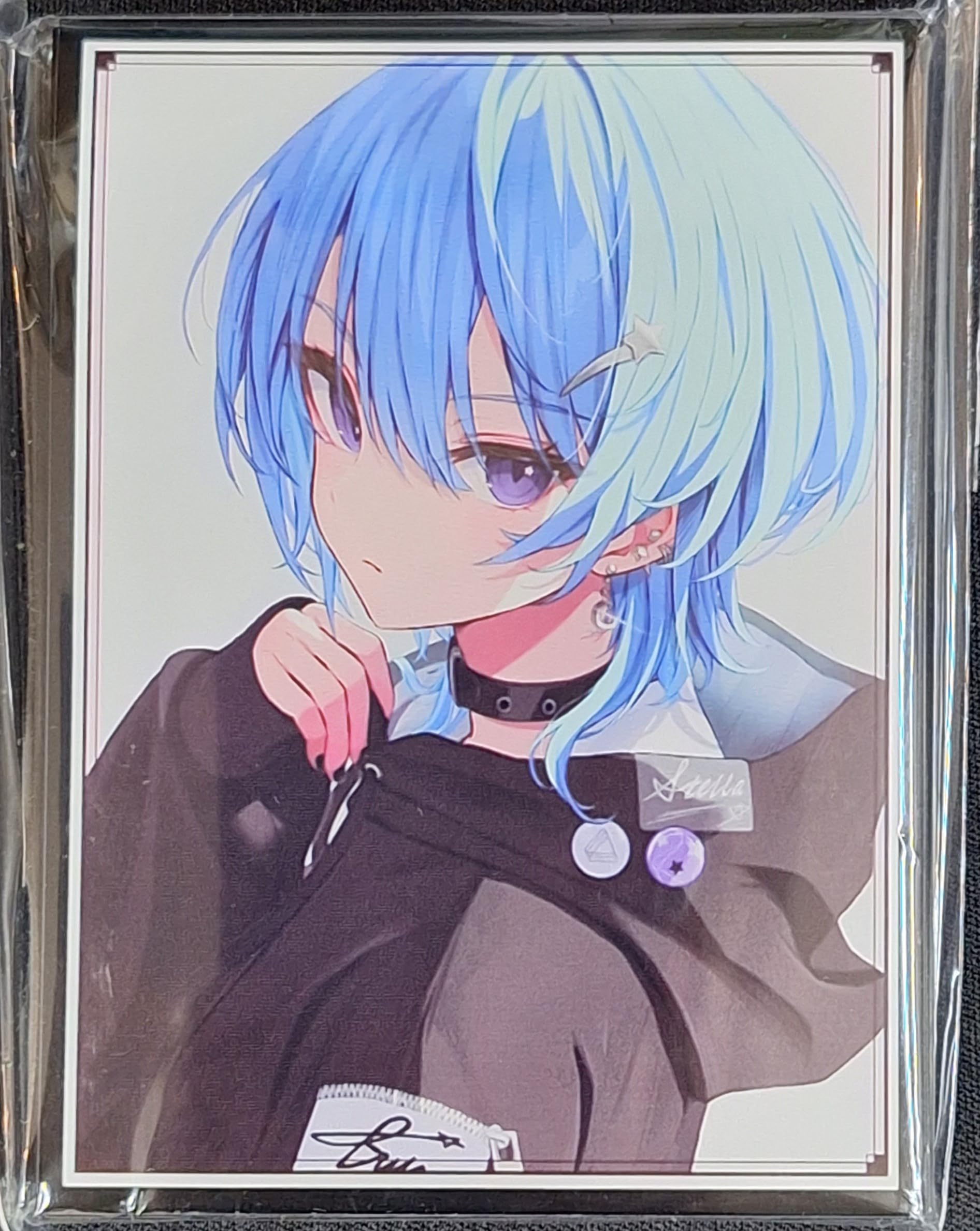 Amazon.co.jp: サンパン スタンダードサイズ カードスリーブ『ホロ