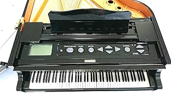 Amazon | グランドピアニスト | おもちゃ雑貨 | おもちゃ