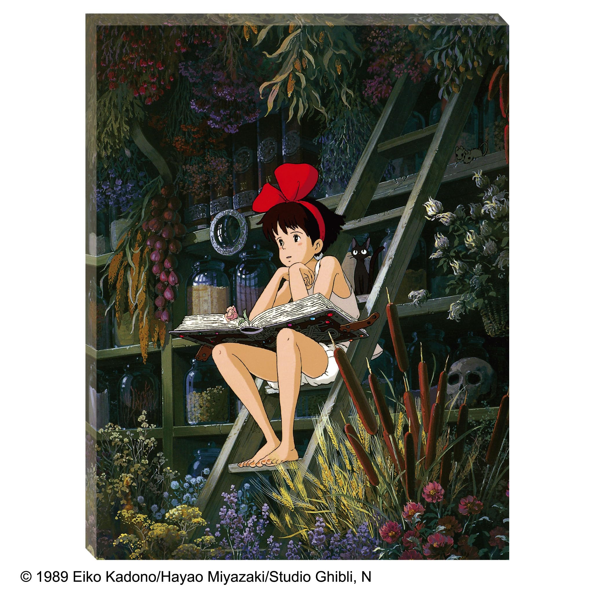 Amazon.com: Ensky - Kiki's Delivery Service - Kiki - A Girl's