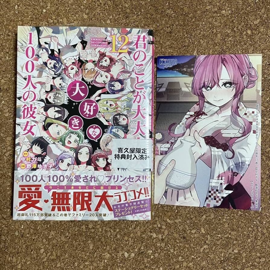 Amazon.co.jp: 君のことが大大大大大好きな100人の彼女 12 シュリンク