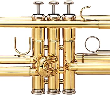 Amazon.co.jp: MAXTONE トランペット B♭管 ゴールドラッカー 仕上げ