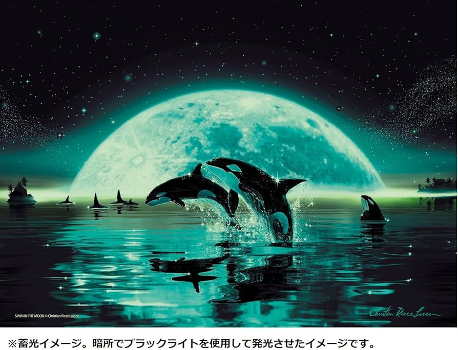 81JpmzgDRqL._AC_UF894,