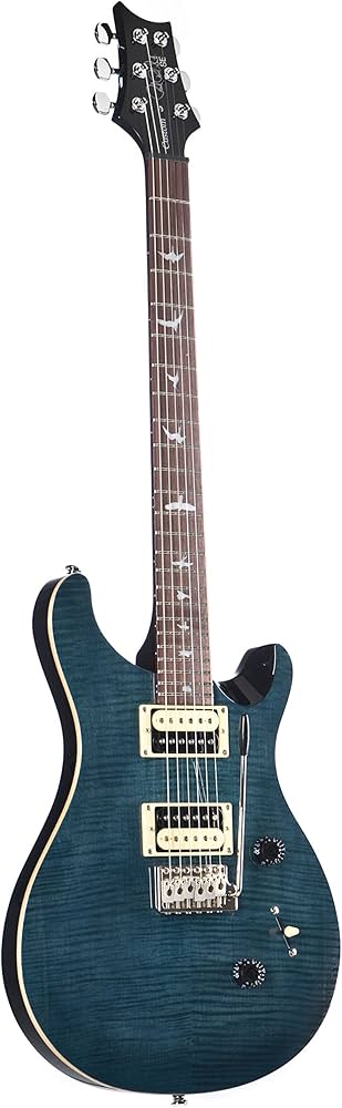 PRS Paul Reed Smith SE Custom 24 Electric Guitar with Gig Bag