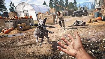 Amazon.com: Far Cry 5 (PS4) : Video Games