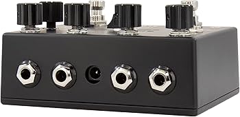 Amazon.com: Walrus Audio SLOER Stereo Ambient Reverb, Black