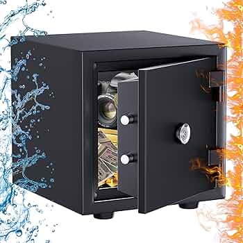 81PRCG4E9PL._AC_UF350,