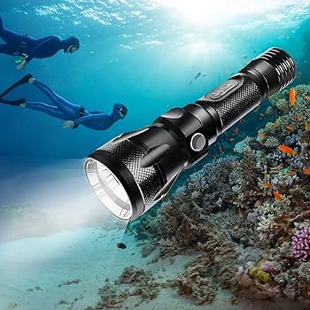 Amazon.co.jp: BlueFire 水中懐中電灯 L2 高輝度Ledダイビングライト