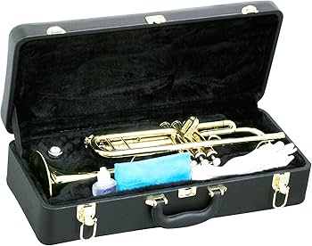 Amazon.co.jp: MAXTONE トランペット B♭管 ゴールドラッカー 仕上げ