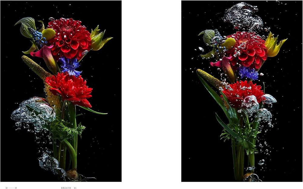 ENCYCLOPEDIA OF FLOWERS Ⅵ 植物図鑑 | 東 信, 椎木 俊介 |本 | 通販