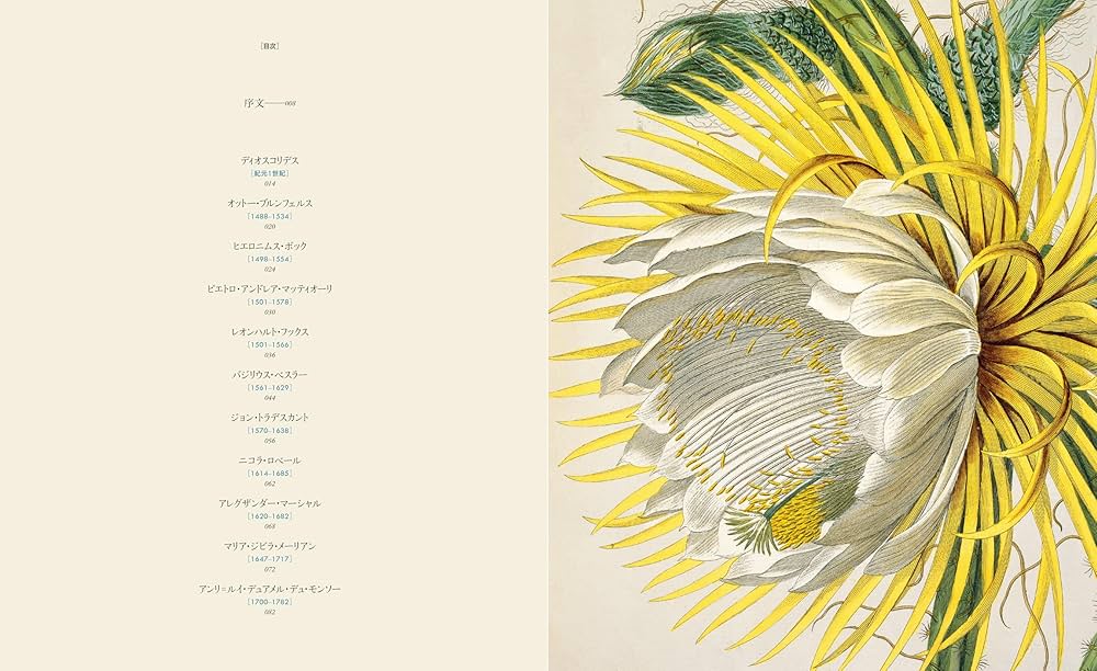 ボタニカルアートの世界:植物図譜の名品コレクション | アンドレア