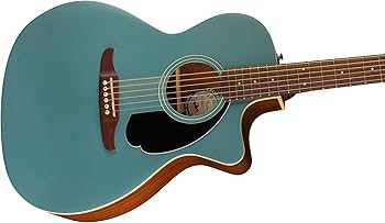 Amazon.co.jp: Fender フェンダー エレアコギター Newporter Player