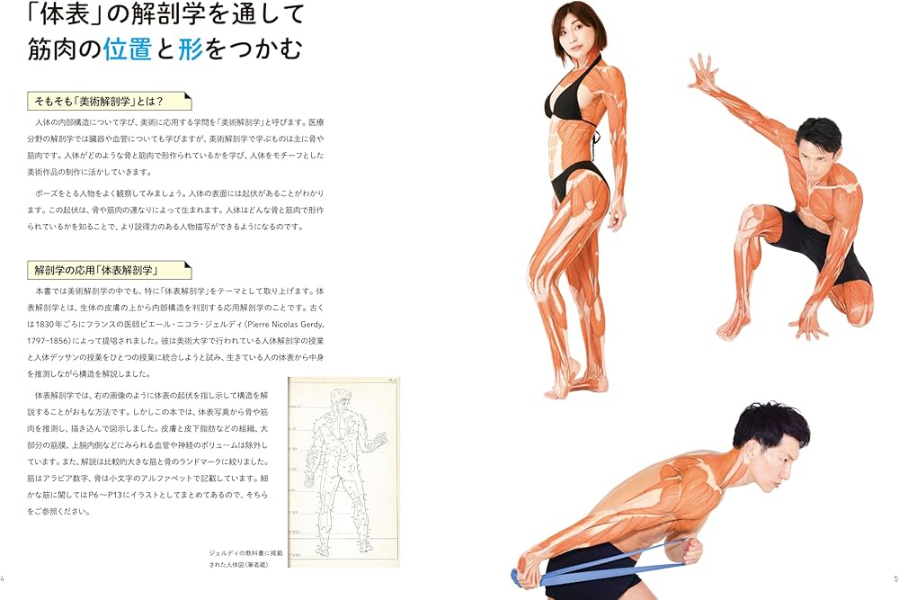 Amazon.co.jp: アーティストのための体表解剖学 ポーズごとに筋肉の