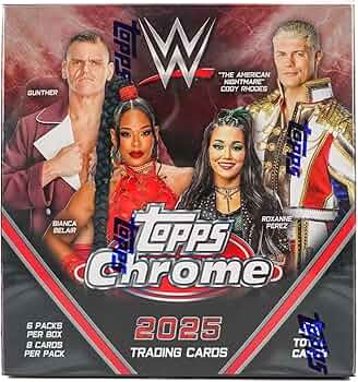 81dhorOLkPL._AC_UF350,