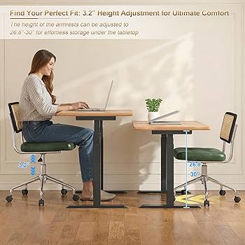 Amazon.com: Zesthouse Mid Century Home Office Chair, Armless Desk
