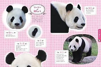 思い出をありがとう！ 上野のパンダ リーリーとシンシン ～いつまでも