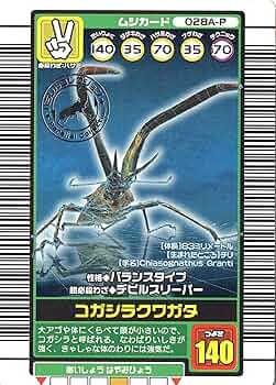 91-sALWrUNL._AC_UF350,