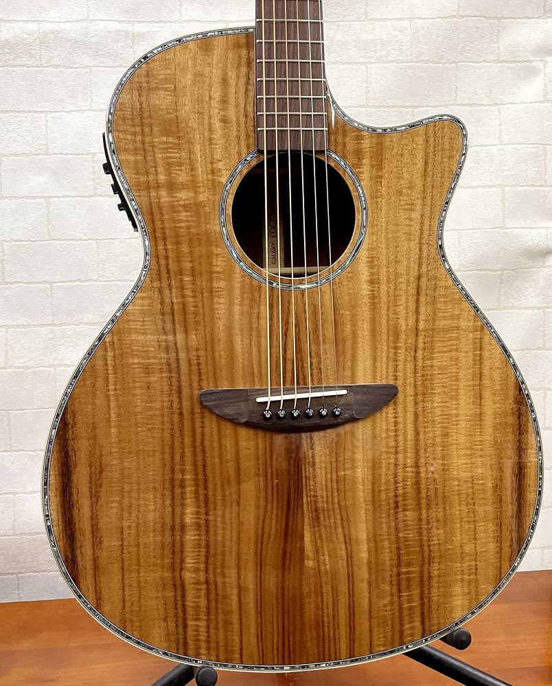 Amazon | ディーシーティージャパン(Dct Japan) エレクトリック