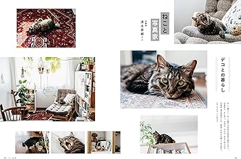ねこ 2019年2月号 Vol.109 |本 | 通販 | Amazon