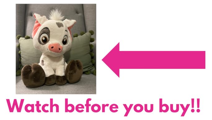 Amazon.com: Disney Pua Big Feet Plush – Moana – 10 Inches : Toys