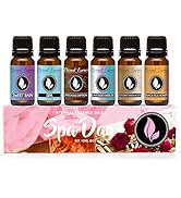 Amazon.com: Eternal Essence Oils Her Secrets Set of 6 Premium