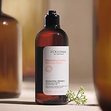 Amazon.co.jp: ロクシタン(L'OCCITANE) インテンシヴリペア シャンプー