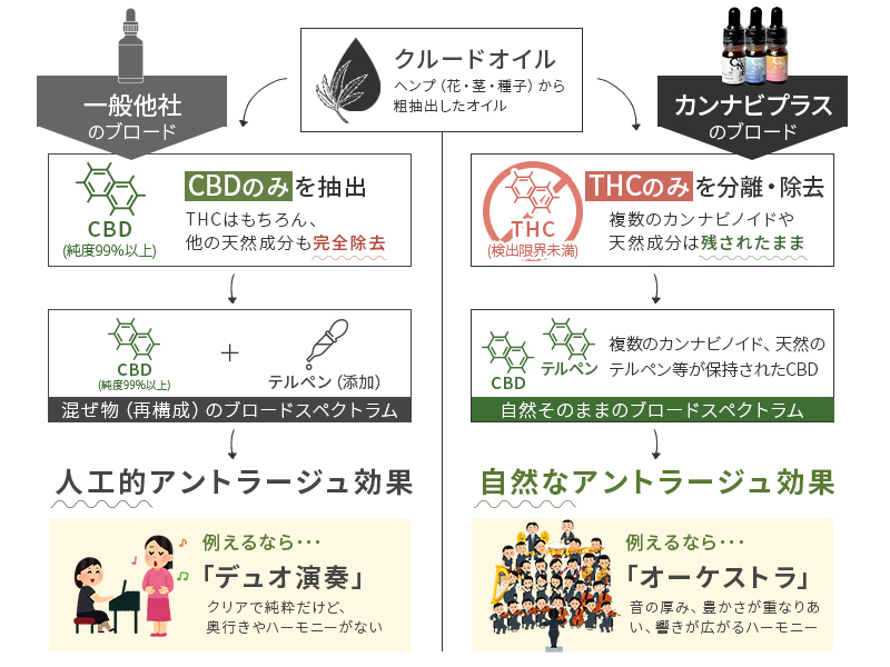 Amazon.co.jp: カンナビプラス CBDオイルトライアル (CBD・CBN・CBG 5