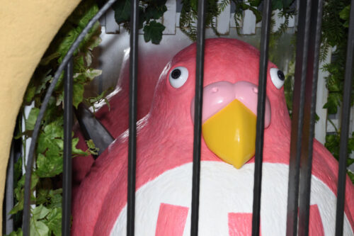 君たちはどう生きるか』青サギやインコがジブリパークに新登場｜あと